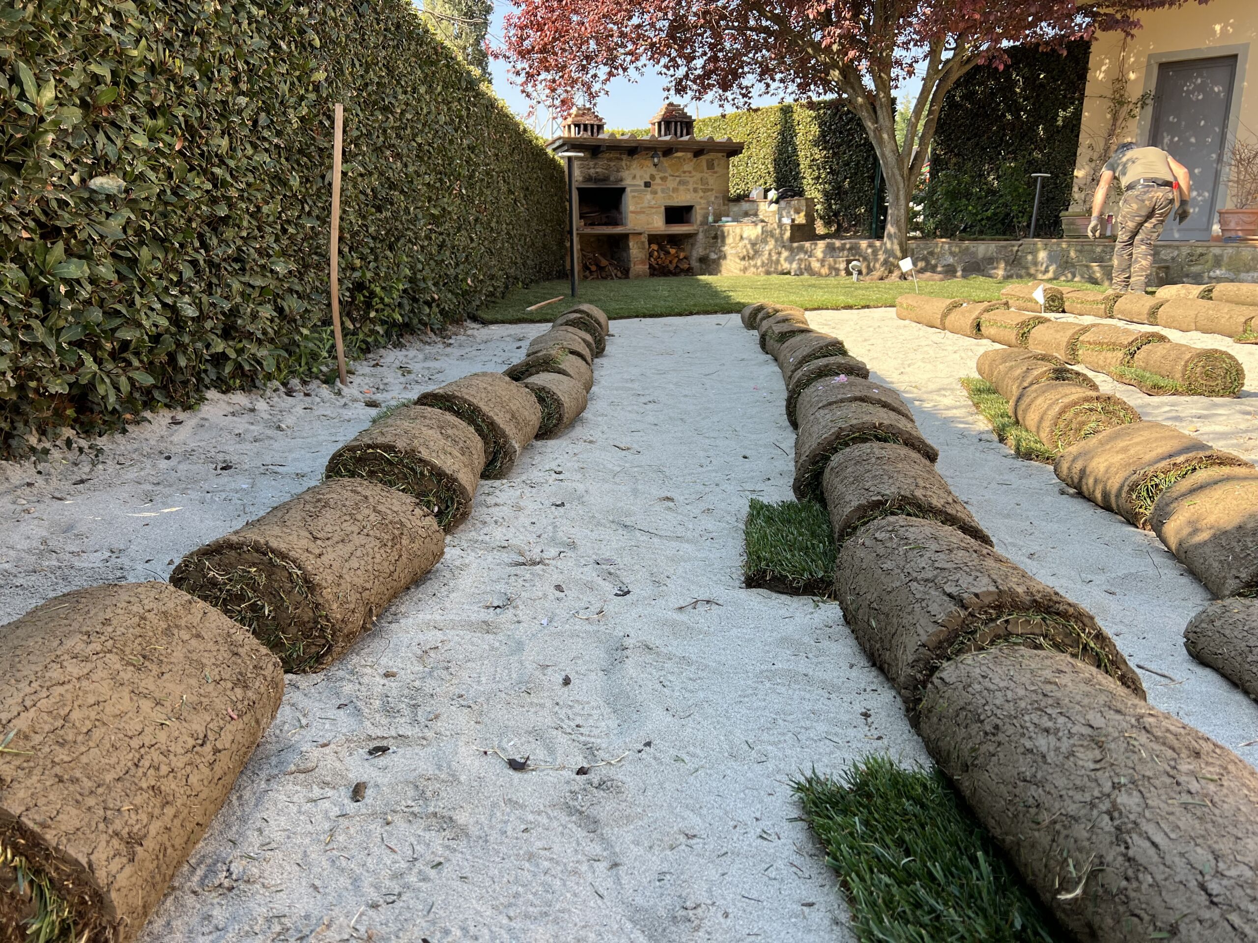 Prato giardino
